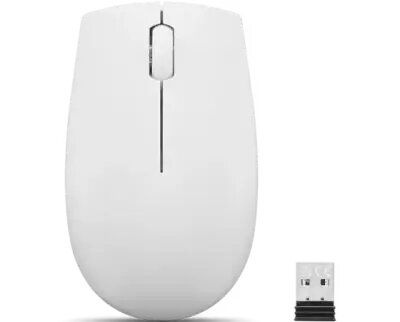 Mouse/ Lenovo L300 Wireless Mouse