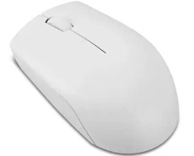 Mouse/ Lenovo L300 Wireless Mouse