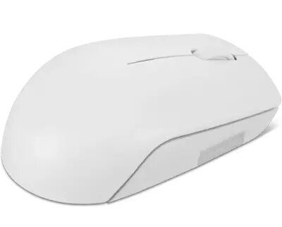 Mouse/ Lenovo L300 Wireless Mouse