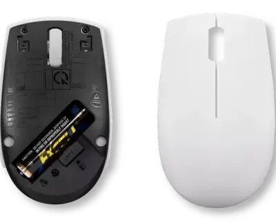 Mouse/ Lenovo L300 Wireless Mouse