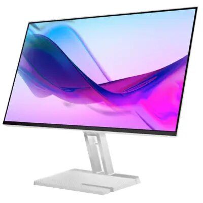 Monitor/ Lenovo/ Lenovo L24i-4A 23.8'' FHD IPS 1920x1080 4ms 100Hz 3Wx2  Cloud Grey