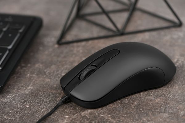 2E Mouse  MF1012, USB-A, black