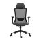2E Office Chair OC150, fabric, 4D armrests, headrest, black