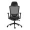 2E Office Chair OC150, fabric, 4D armrests, headrest, black