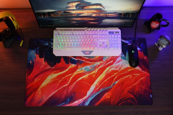 2E GAMING Mouse Pad PRO Speed D02, XL (800x450x3mm), multicolor