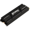 Kingston SSD M.2 2TB PCIe 4.0 Fury Renegade