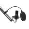 2E PC Microphone MPC011 Streaming KIT USB