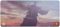 SteelSeries QcK World of Warcraft XXL