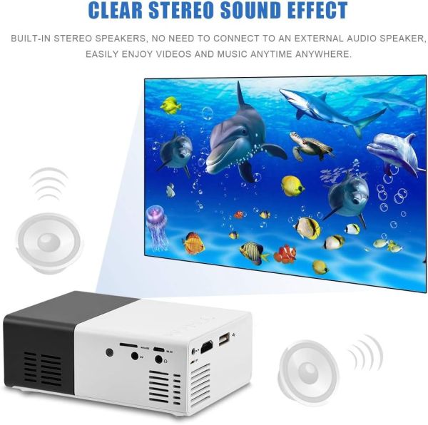 Projector YG300