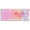 Royal Kludge RK R75-PM-XH RGB Mechanical Keyboard, Cream Switch, Hot Swappable, Wired, USB, Pink Melody