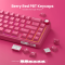 Royal Kludge RK R65-BR-XH RGB Mechanical Keyboard, Cream Switch, Hot Swappable, Wired, USB, Berry Red
