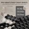 Royal Kludge RK R98PRO-PT-XW RGB Mechanical Keyboard, Beige Switch, Hot Swappable, Wired, Phantom