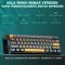 Keyboard: AULA WIN60 HE MAX RGB Wired Gaming Keyboard Dark Grey/Light gray/Yellow (Wing Chun Magnetic Switch)