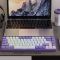 Black Duke AK680 Purple