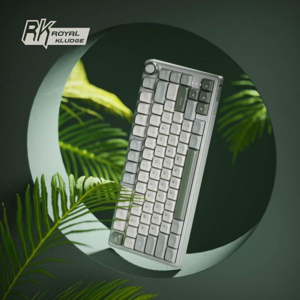 Royal Kludge RK R75 RGB Mechanical Keyboard, Brown switch, Hot Swappable, Type-C wired, Sky Cyan