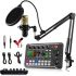 Condenser Microphone Bundle