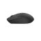 Mouse: A4Tech Fstyler FG16CS Air2 2.4G Wireless Rechargeable Mouse Black