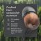 House of Marley EM-JE042-SB S. JAMAICA WIRED USB-C EARBUDS Signature Black