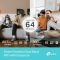 TP-Link, Archer MR600, 4G+ Cat6 AC1200 Wireless Dual Band Gigabit Router