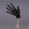 Articulated hand model
