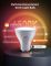 Govee B600D RGBWW Smart LED Bulb GU10 (2 pack)