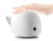 Delphin Led Lamp