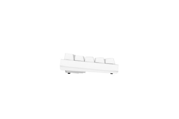 Keyboard Ducky One 2 Mini Cherry Speed Silver RGB LED RU PBT White