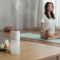Double Spray Humidifier