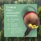 House of Marley EM-JE042-RA S. JAMAICA WIRED USB-C EARBUDS Rasta