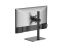 Monitor stand: Gembird MS-D1ST-03 Monitor desk stand full motion 17"-32" Matte Black