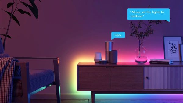 Govee RGBIC Basic Wi-Fi + Bluetooth LED Strip Lights (10 Meter)
