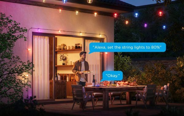 Govee H7025 Outdoor Clear Bulb String Lights, 15м, RGBIC/Warm White, WI-FI/Bluetooth, чорний
