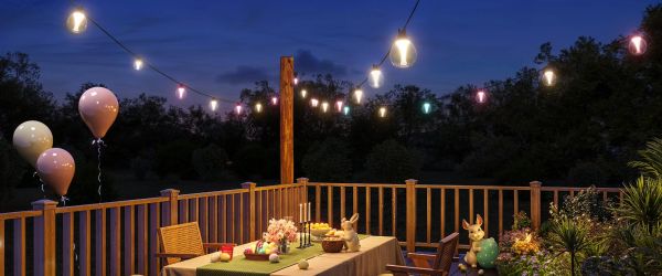 Govee H7025 Outdoor Clear Bulb String Lights, 15м, RGBIC/Warm White, WI-FI/Bluetooth, чорний