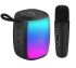 Kisonli G20 Professional Karaoke Mini Speaker