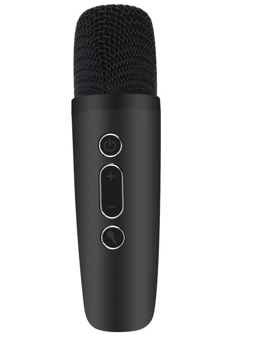 Kisonli G20 Professional Karaoke Mini Speaker