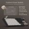 Royal Kludge RK R65 RGB Mechanical Keyboard, Brown switch, Hot Swappable, Type-C wired, Phantom