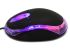 Mini Black Mouse
