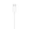 EarPods (USB-C)