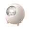 Pet Bluetooth audio white