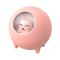 Pet Bluetooth audio Pink