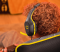 GXT415BM ZIROX HEADSET BATMAN
