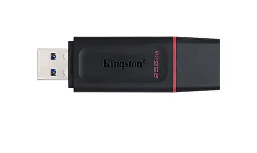 Flash Kingston 256GB DataTraveler Exodia
