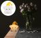 Silicone Star Shaped Night Light
