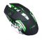 T-WOLF Q13