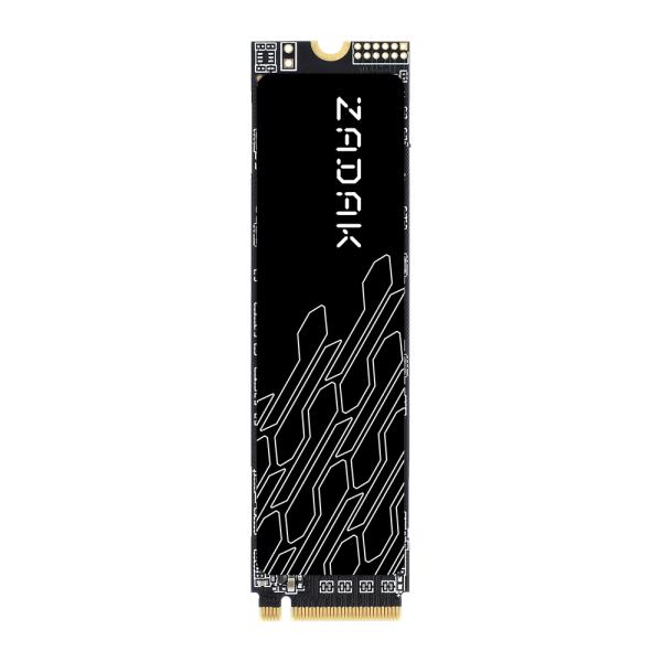 Apacer, TWSG3, M2 SSD, PCIe 256GB