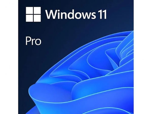 Microsoft Windows 11 Pro 64Bit Eng Intl 1pk DSP OEI DVD/VERSION 21H2 FQC-10529